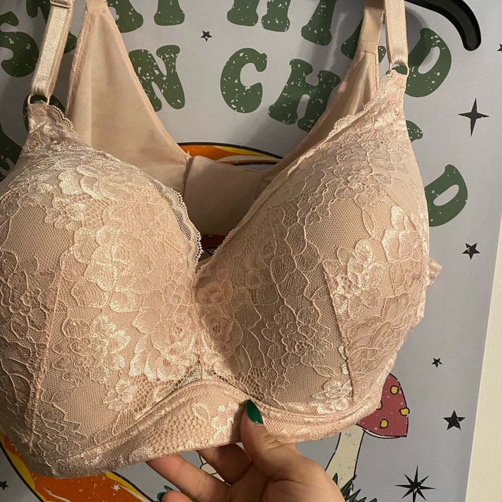 Lace Push-Up Bra in Blush Pink